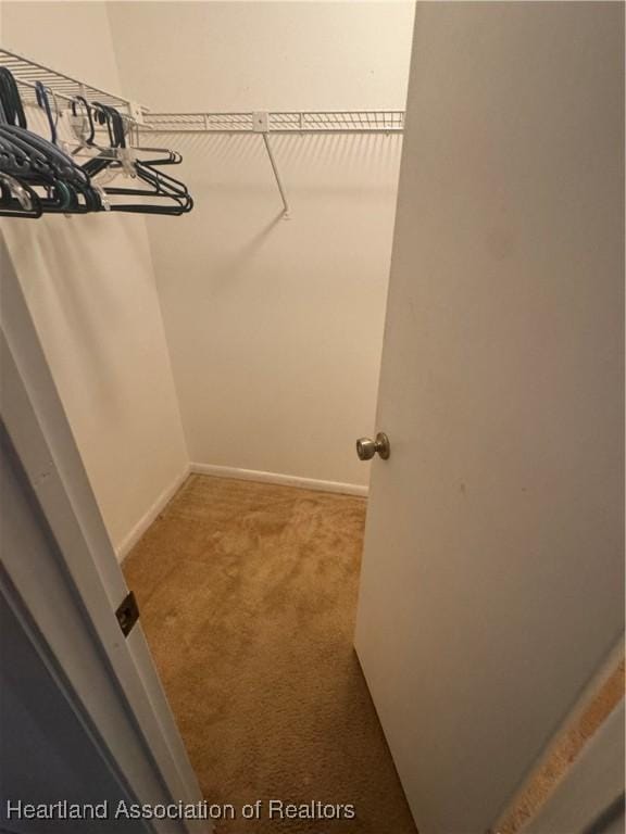 walk in closet featuring carpet