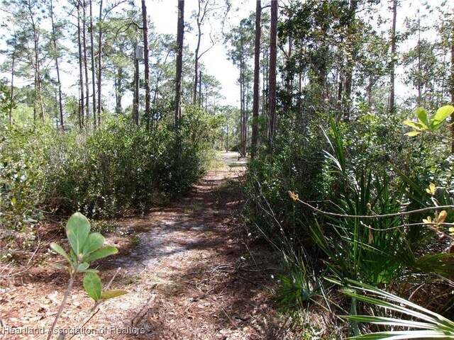909 Iris Ave, Sebring, FL 33875
