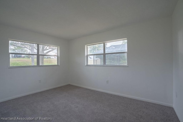 spare room featuring carpet flooring