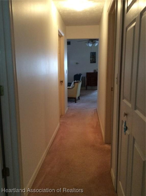 corridor with light colored carpet