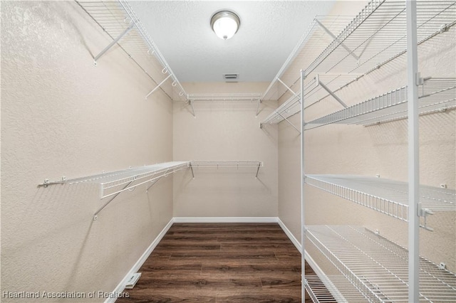 walk in closet with dark wood-type flooring