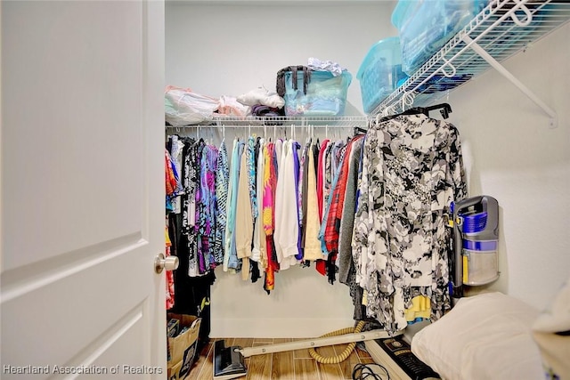 spacious closet with hardwood / wood-style floors