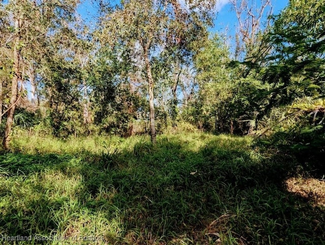 0 Hanchey Rd, Wauchula FL, 33873 land for sale