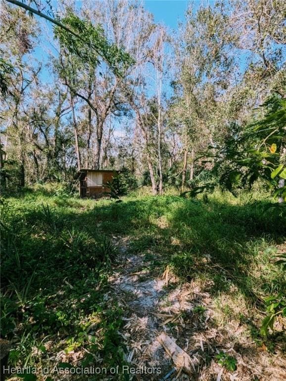 Listing photo 2 for 0 Hanchey Rd, Wauchula FL 33873