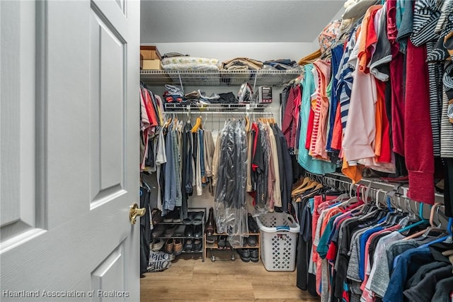 walk in closet with light hardwood / wood-style flooring