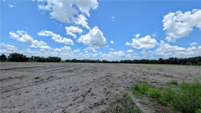 1075 Mcdonald Rd, Wauchula, FL 33873