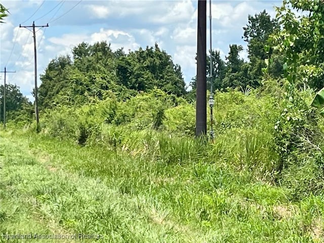 State Road 64th Rd W, Wauchula, FL 33873 - photo 6