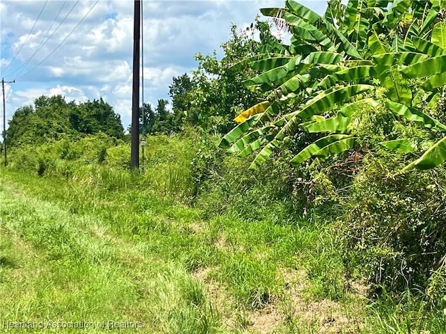 State Road 64th Rd W, Wauchula, FL 33873 - photo 5