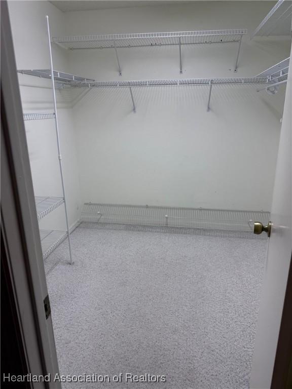 spacious closet featuring carpet