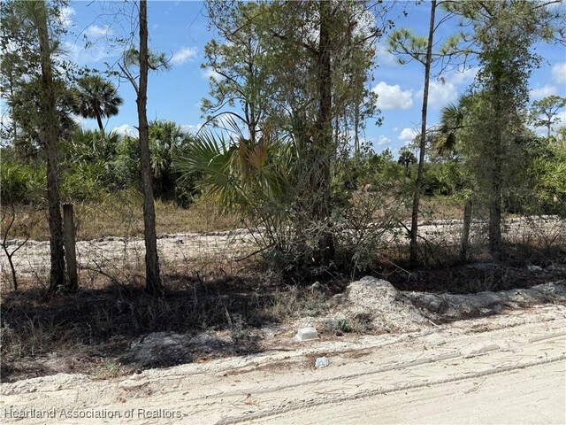 Hibiscus Ave, Punta Gorda, FL 33982