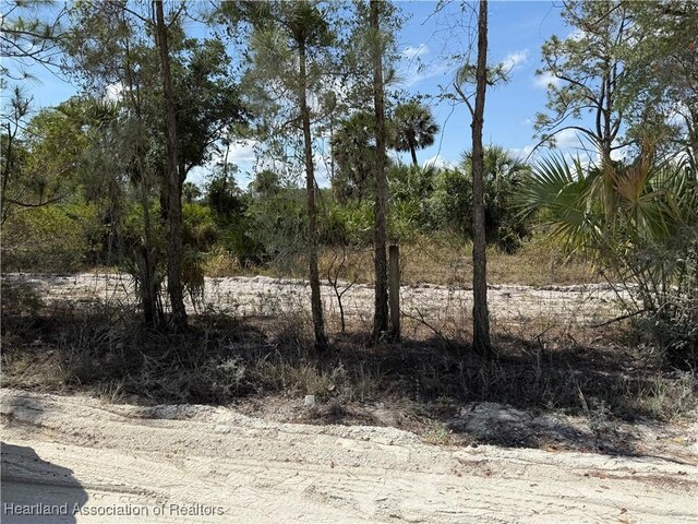 Hibiscus Ave, Punta Gorda, FL 33982