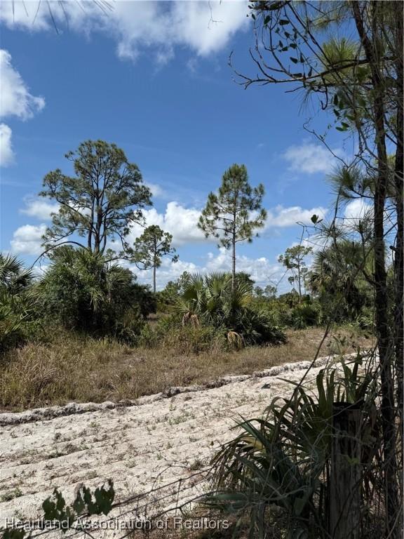 Hibiscus Ave, Punta Gorda, FL 33982