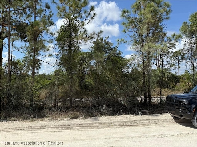 Hibiscus Ave, Punta Gorda, FL 33982