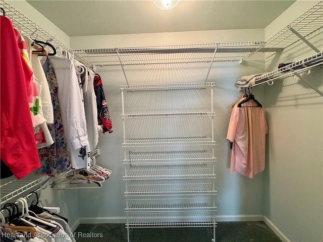 spacious closet with carpet floors