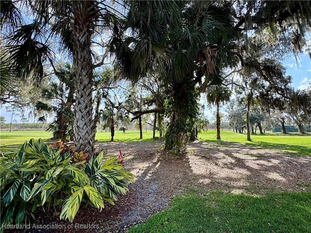 view of property's community featuring a lawn