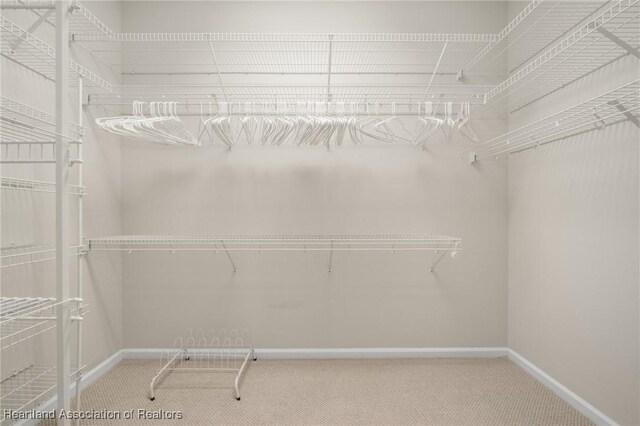 walk in closet featuring carpet
