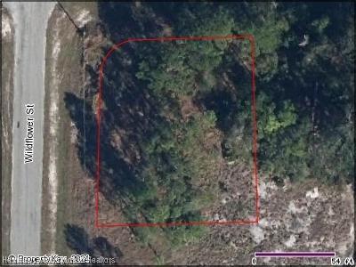 3156 Miller Ave, Lake Placid, FL 33852