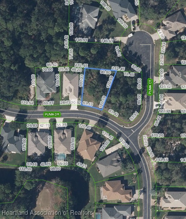 3913 Puma Dr, Avon Park, FL 33825