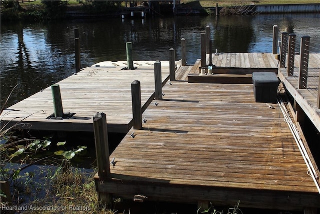 dock area with a water view