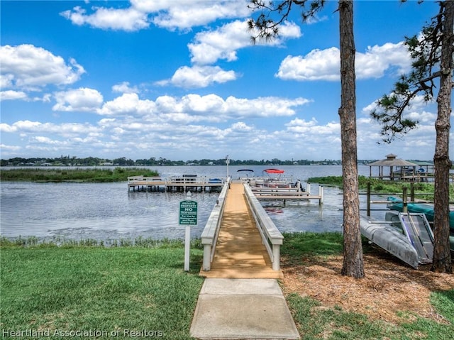 dock area with a water view