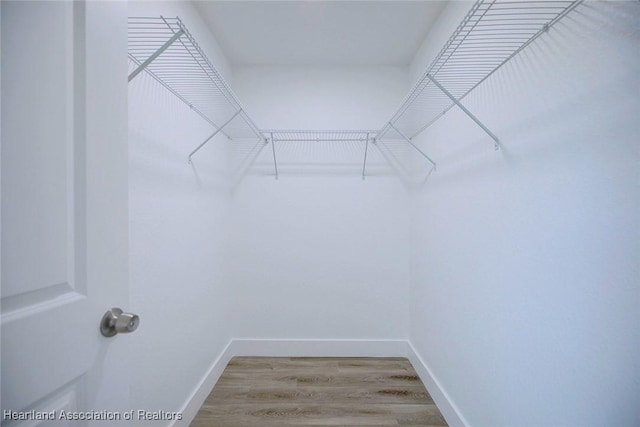 walk in closet featuring hardwood / wood-style floors