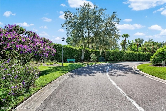 view of road with curbs and street lighting