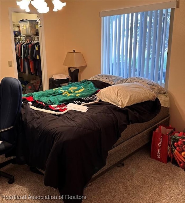 bedroom with carpet floors and a closet