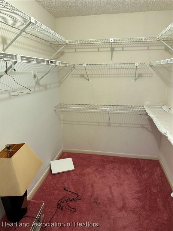 spacious closet featuring carpet floors