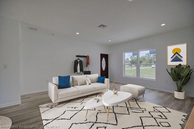 living room featuring wood-type flooring