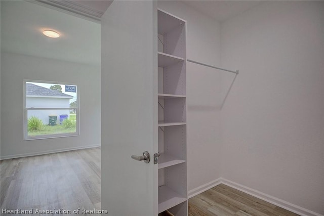 walk in closet with light hardwood / wood-style flooring