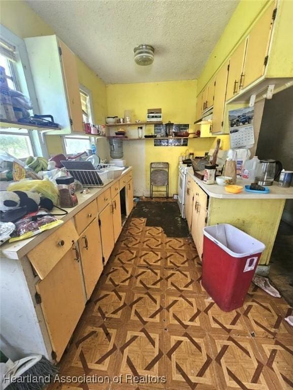 kitchen with a textured ceiling and gas range gas stove