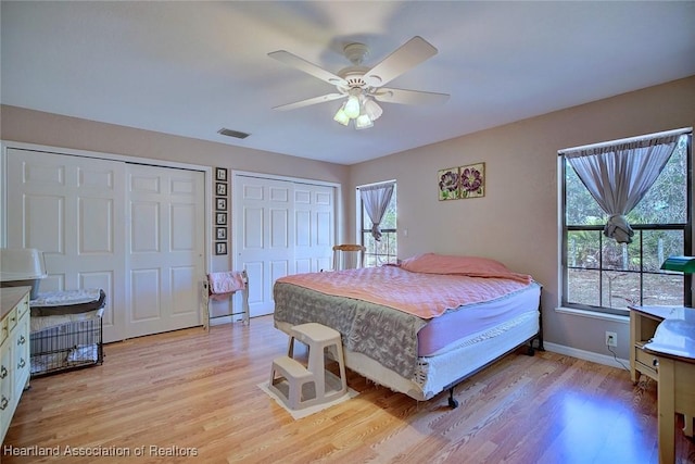 bedroom with multiple windows, light wood-type flooring, and multiple closets