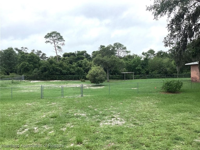 136 Hallmark Ave, Lake Placid, FL 33852 - view of yard