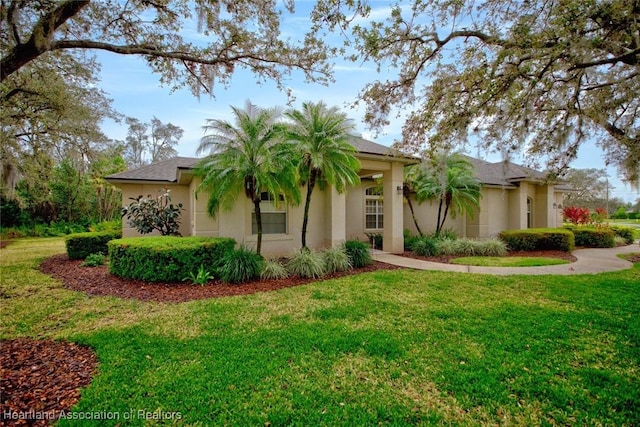 view of front of home featuring a front lawn and stucco siding