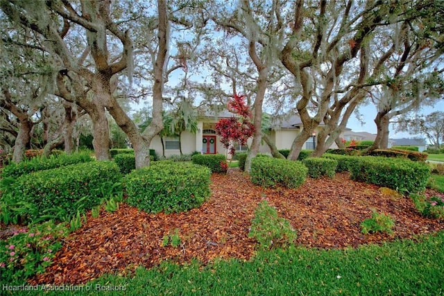 obstructed view of property featuring stucco siding