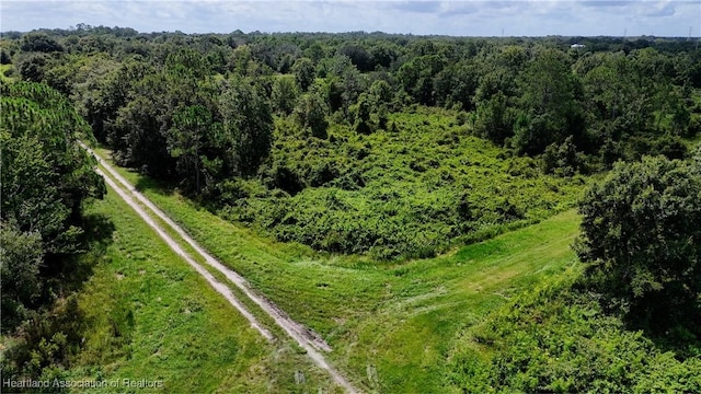2975 W Reeves Rd, Avon Park, FL 33825 - photo 4