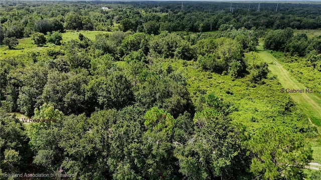 2975 W Reeves Rd, Avon Park, FL 33825 - photo 5