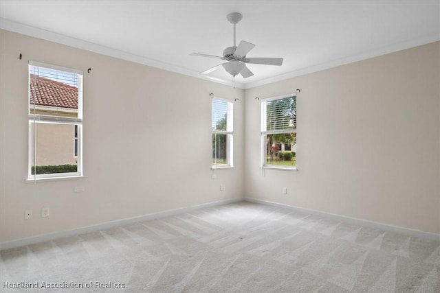 carpeted spare room with ceiling fan and ornamental molding