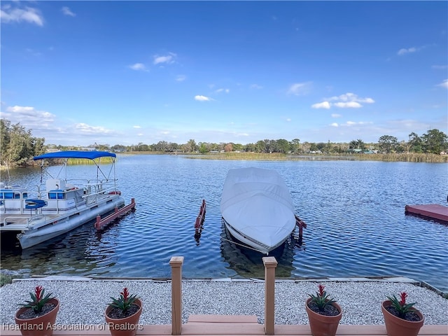 dock area with a water view