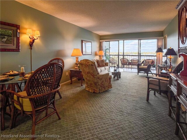 living room with a textured ceiling and carpet floors