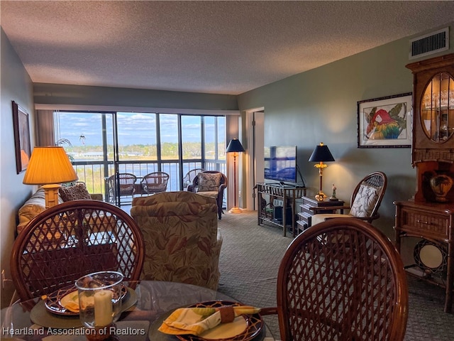 carpeted living room with a textured ceiling