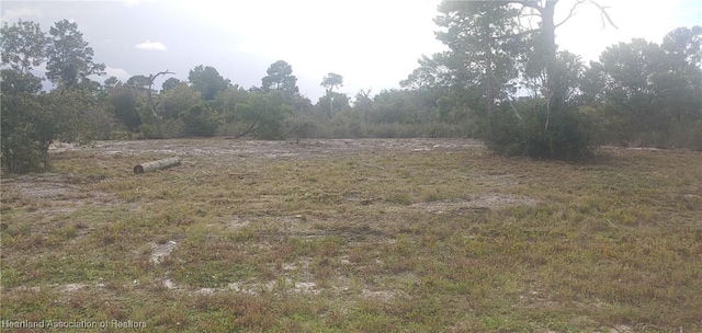 115 Hayes Ave NE, Lake Placid FL, 33852 land for sale