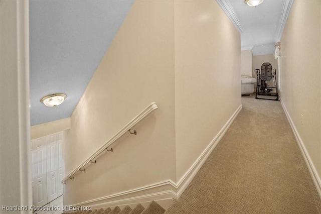 hall featuring crown molding and light carpet