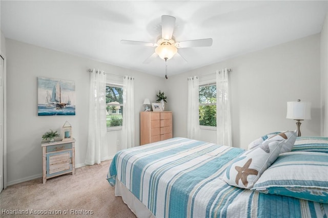 carpeted bedroom with ceiling fan and multiple windows