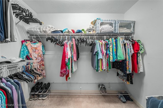 spacious closet with carpet floors