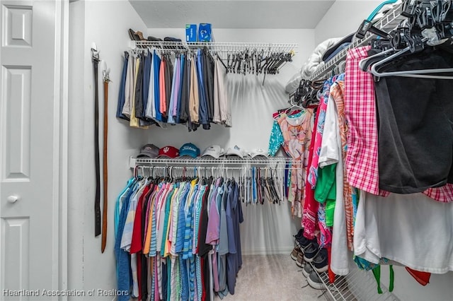 spacious closet with carpet