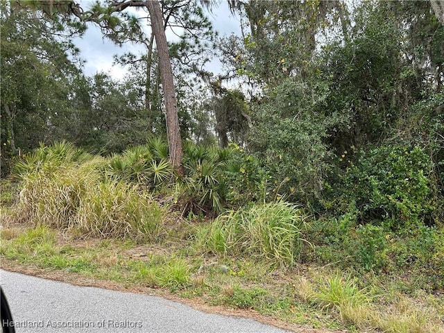 4000 Hedge Ave, Sebring FL, 33875 land for sale