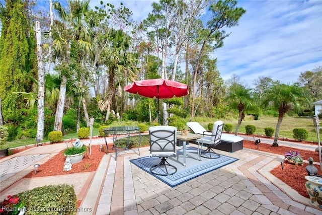 view of patio / terrace with a trampoline