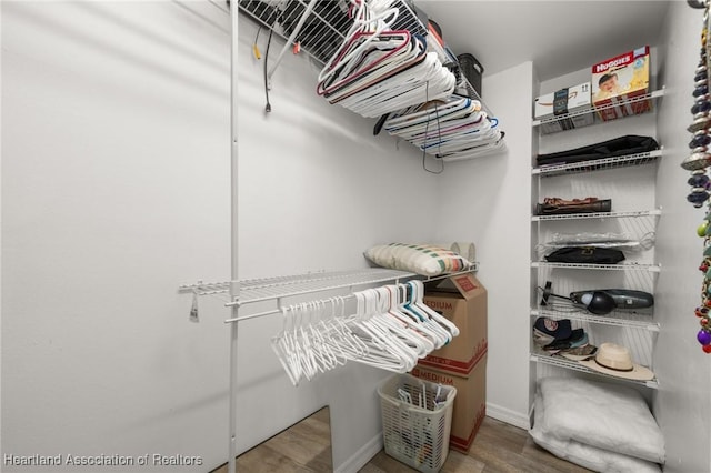 spacious closet featuring wood finished floors