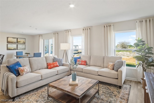 living room with hardwood / wood-style floors and a healthy amount of sunlight